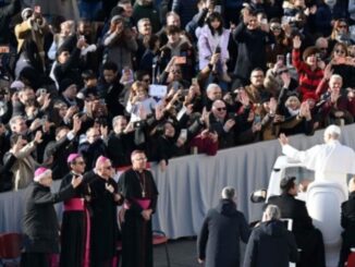 Das bergoglianische Pontifikat verzeichnete einen starken Rückgang der Gläubigen, die an päpstlichen Veranstaltungen teilnahmen