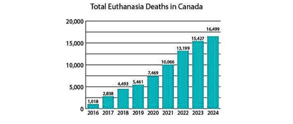 Euthanasie in Kanada: 2024 wurden bereits mehr als fünf Prozent aller Todesfälle euthanasiert