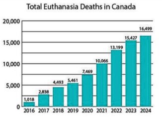 Euthanasie in Kanada: 2024 wurden bereits mehr als fünf Prozent aller Todesfälle euthanasiert