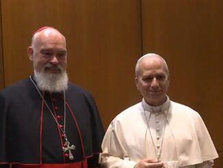 Kardinal Dominique Mathieu mit Papst Leo XIV. in Rom