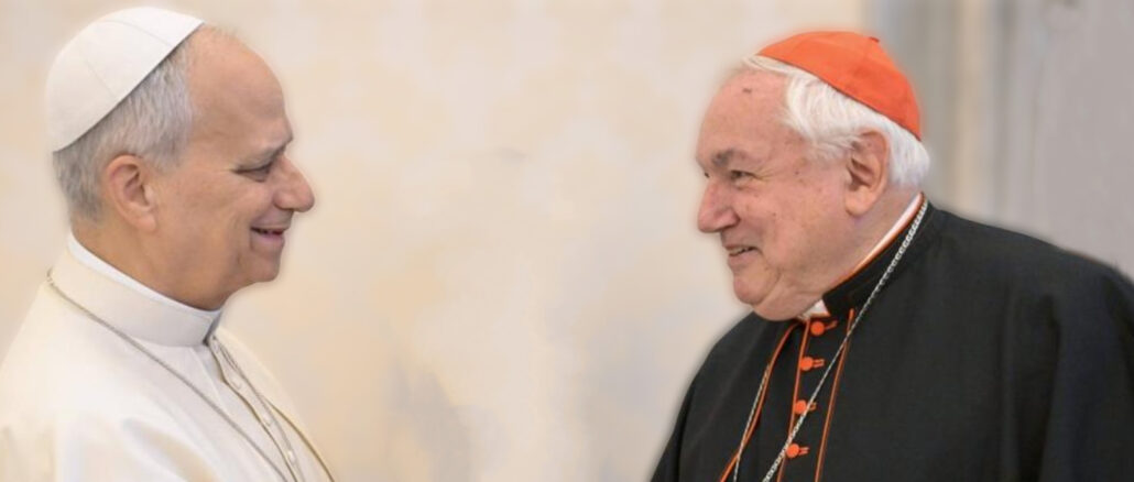 Papst Leo XIV. erteilte Kardinal Aveline, Erzbischof von Marseille, den Auftrag, eine "Lösung" für die Frage der Tradition zu finden