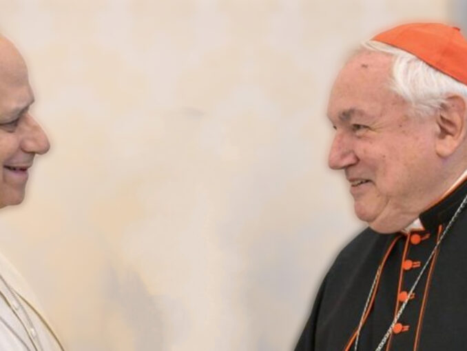 Papst Leo XIV. erteilte Kardinal Aveline, Erzbischof von Marseille, den Auftrag, eine "Lösung" für die Frage der Tradition zu finden