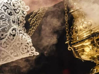 Papst Leo XIV. informiert sich über empirische Erhebungen zum überlieferten Ritus und zur Tradition