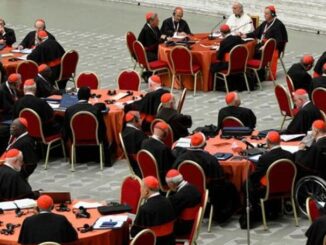 Bild mit Symbolcharakter: Das Konsistorium im Januar fand vor allem aufgesplittert an Tischen (Stuhlkreisen) statt, dem Beratungsformat des bergoglianischen "synodalen Prozesses"