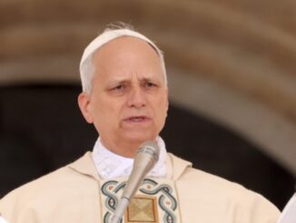 Papst Leo XIV. leitet seit Mai 2025 die Kirche
