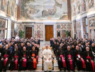 Papst Leo XIV. mit den Direktoren der Nationalen und Päpstlichen Missionswerke der katholischen Kirche