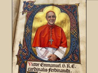 Caminante Wanderer analysiert das Denken von Kardinal Victor Manuel "Tucho" Fernández, Präfekt des Glaubensdikasteriums, und sein Umgang mit Kirchenvätern, Kirchenlerhrern und Konzilsdokumenten