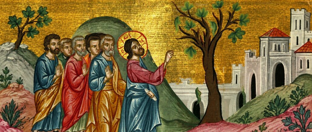Jesus verflucht einen Feigenbaum, der keine Früchte trägt.