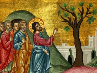 Jesus verflucht einen Feigenbaum, der keine Früchte trägt.