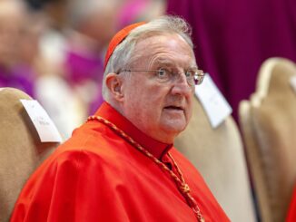 Kardinal Arthur Roche, dezidierter Gegner des überlieferten Ritus, gehört zum Vertrautenkreis von Papst Leo XIV. Vor kurzem wurde der englische Purpurträger vom Papst in Audienz empfangen.
