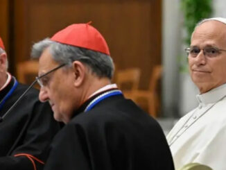 Papst Leo XIV. bei der von ihm ausgerichteten Zusammenkunft anläßlich des 10-jährigen Jubiläums von Amoris laetitia im Vatikan.