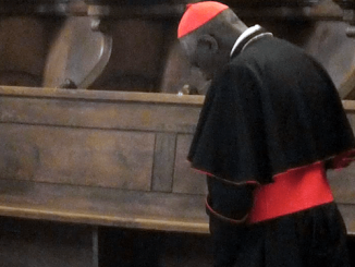 Kardinal Sarah, vom Papst in seiner eigenen Kongregation isoliert und bei der Errichtung der neuen Liturgiekommission übergangen. Hat Franziskus ein neues Bugnini-Consilium geschaffen?