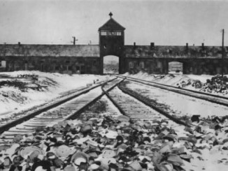 Auschwitz Gedenken Holocaust Abtreibung