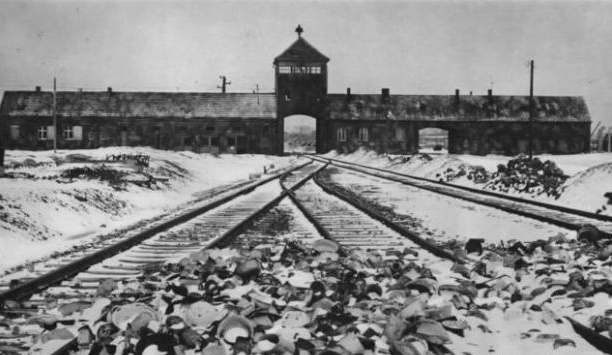 Auschwitz Gedenken Holocaust Abtreibung