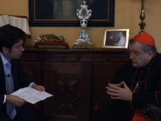 Kardinal Burke im Interview mit InfoVaticana: über die "große, gefährliche Verwirrung" in der Kirche, den Freimaurern.