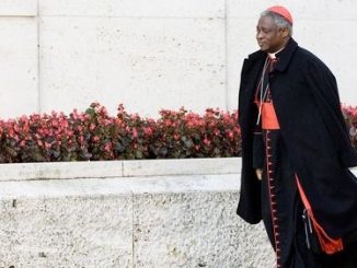 Kardinal Peter Turkson: "Der Masseneinwanderung den Hahn abdrehen"