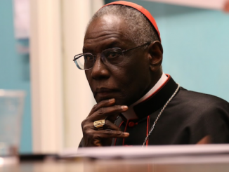 Kardinal Robert Sarah, vom Papst berufen und gleichzeitig isoliert