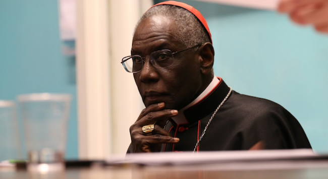Kardinal Robert Sarah, vom Papst berufen und gleichzeitig isoliert
