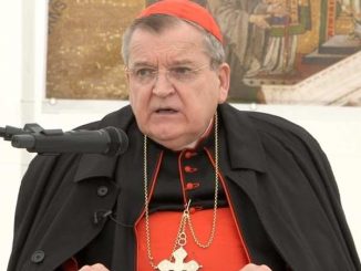 Kardinal Burke über die Möglichkeit eines häretischen Papstes