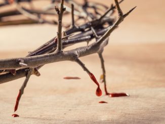 Das kostbare Blut Jesu Christi auf der Dornenkrone