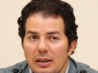 Hamed Abdel-Samad (2013)