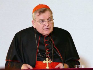 Die Verantwortung der Kardinäle. Im Bild Kardinal Raymond Burke, der als Unterzeichner der Dubia an Papst Franziskus seine Aufgabe ernst nimmt.