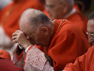 Kardinal Camillo Ruinis Botschaft an Papst Franziskus: Bitte an den Herrn, daß die päpstliche Suche nach verirrten Schaffen nicht die treuen Schafe in Schwierigkeiten bringt