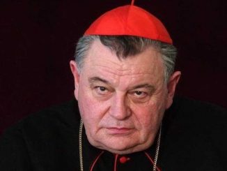 Kardinal Dominik Duka wurde wegen seiner Kritik an Islamisierung und Masseneinwanderung von der eigenen katholischen Zeitung zensuriert
