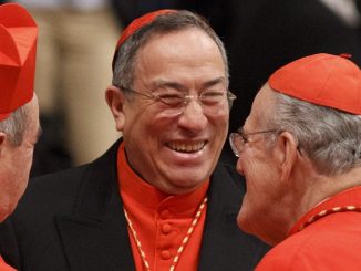 Kardinal Oscar Rodriguez Maradiaga bringt sich mit seinem jüngsten Buch selbst als Franziskus-Nachfolger ins Spiel und tut dies mit einem abschätzigen und beleidigenden Angriff gegen Kardinal Raymond Burke: Was sagt uns das?