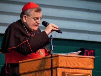 Kardinal Raymond Burkes Kritik an Amoris Laetitia