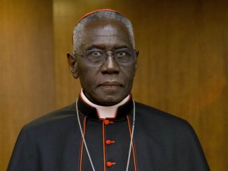 Kardinal Sarah: Die Reform der nachkonziliaren Liturgiereform wird kommen, denn es geht um die Zukunft der Kirche.