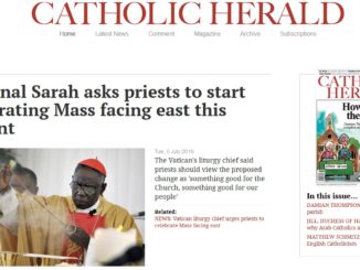 Kardinal Sarah Zelebrationsrichtung ab November wieder Richtung Osten ad Deum
