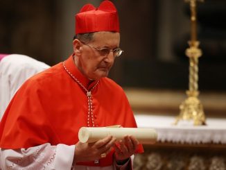 Kardinalserhebung von Beniamino Stella (2014)
