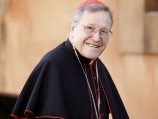 Kardinal Walter Kasper fordert "neue Form" für die Kirche