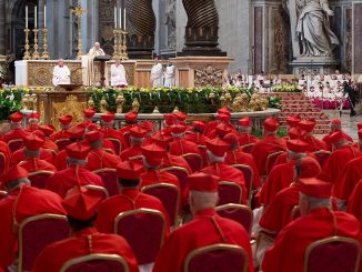 Am 19. November findet die Kreierung von 17 neuen Kardinälen statt, aber Papst Franziskus meidet eine Begegnung mit dem Kardinalskollegium. "Um nicht auf die Dubia der vier Kardinäle zu Amoris laetitia antworten zu müssen", vermutet der Vatikanist Marco Tosatti.