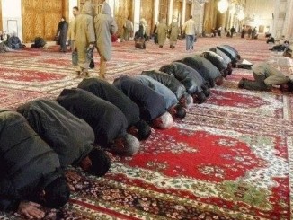 Der Islam, Deutschland und das Grundgesetz