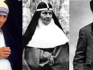 Neue Heilige: Mutter Teresa, Maria Elisabeth Hasselblad, Giuseppe Brochero