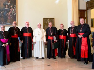 Papst Franziskus mit C9-Kardinalsrat (Kardinalstaatssekretär Parolin fehlt im Bild)