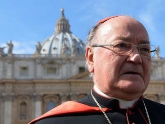 Kardinal Raffaele Martino: "Dubia sind legitim". Es wäre "richtig", wenn Papst Franzsikus darauf antworten würde.