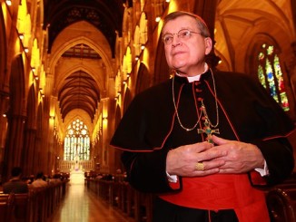 Kardinal Raymond Burke, Kardinalpatron des Souveränen Malteserordens