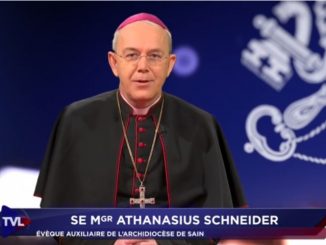Weihbischof Athanasius Schneider: Es existiert in der Kirche bereits ein merkwürdiges Schisma, indem "innerliche Schismatiker" treuen Verteidigern des Glaubens beschuldigen, Schismatiker zu sein.