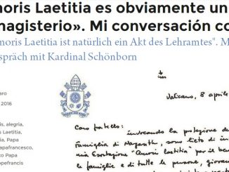 Notmaßname Spadaro SJ: Neuauflage des Interviews mit Kardinal Schönborn vom 7. Juli 2016