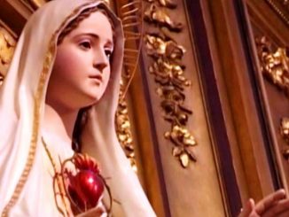 100 Jahre Fatima: Die Bischöfe der Niederlande und von San Francisco weihen ihre Bistümer dem Unbefleckten Herz Mariens.