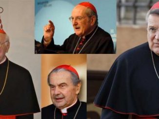 Dubia der vier Kardinäle: Stößt Papst Franziskus an seine Grenzen?