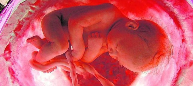 Sind Abtreibungsstatistiken des Statistischen Bundesamtes "aus politischen Gründen" manipuliert?