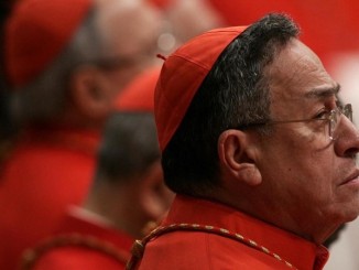 Kardinal Osacar Rodriguez Maradiaga bestätigt Existenz einer "Homo-Lobby" im Vatikan